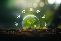 Image of sapling surrounded by various eco-friendly symbols.